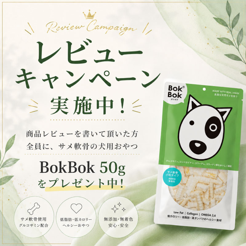 レビュープレゼント