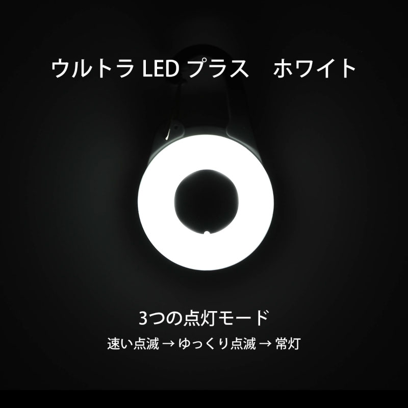 ホワイトLED